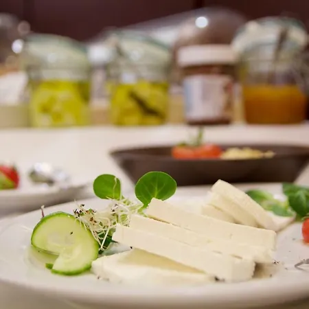 酒店 Patria Centrum 扎科帕内