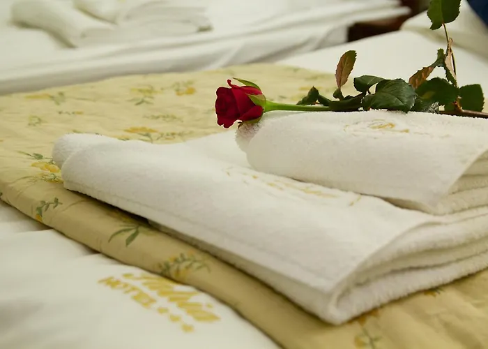 Patria Centrum Отель